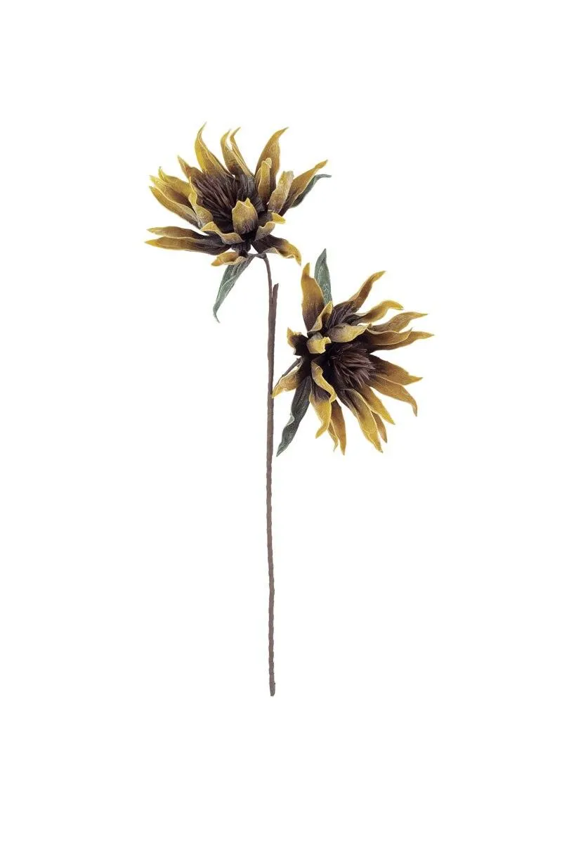 Botanica #3441 (Pack of 6)
