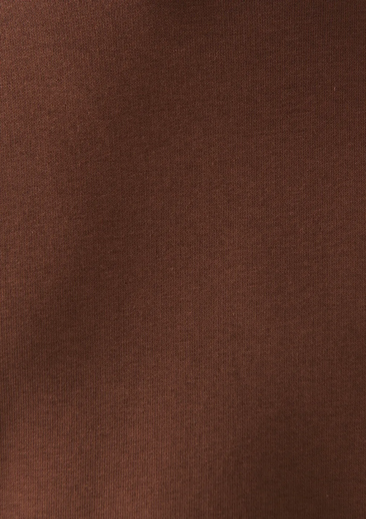 Brown Hooded Basic Sweatshirt