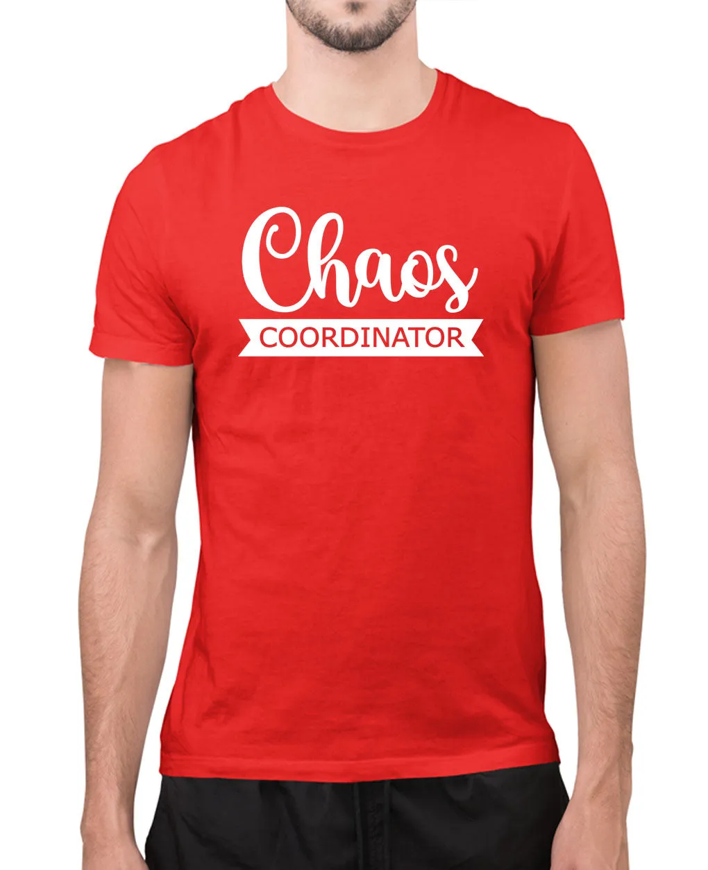 Chaos coordinator t-shirt, humor joke t-shirt