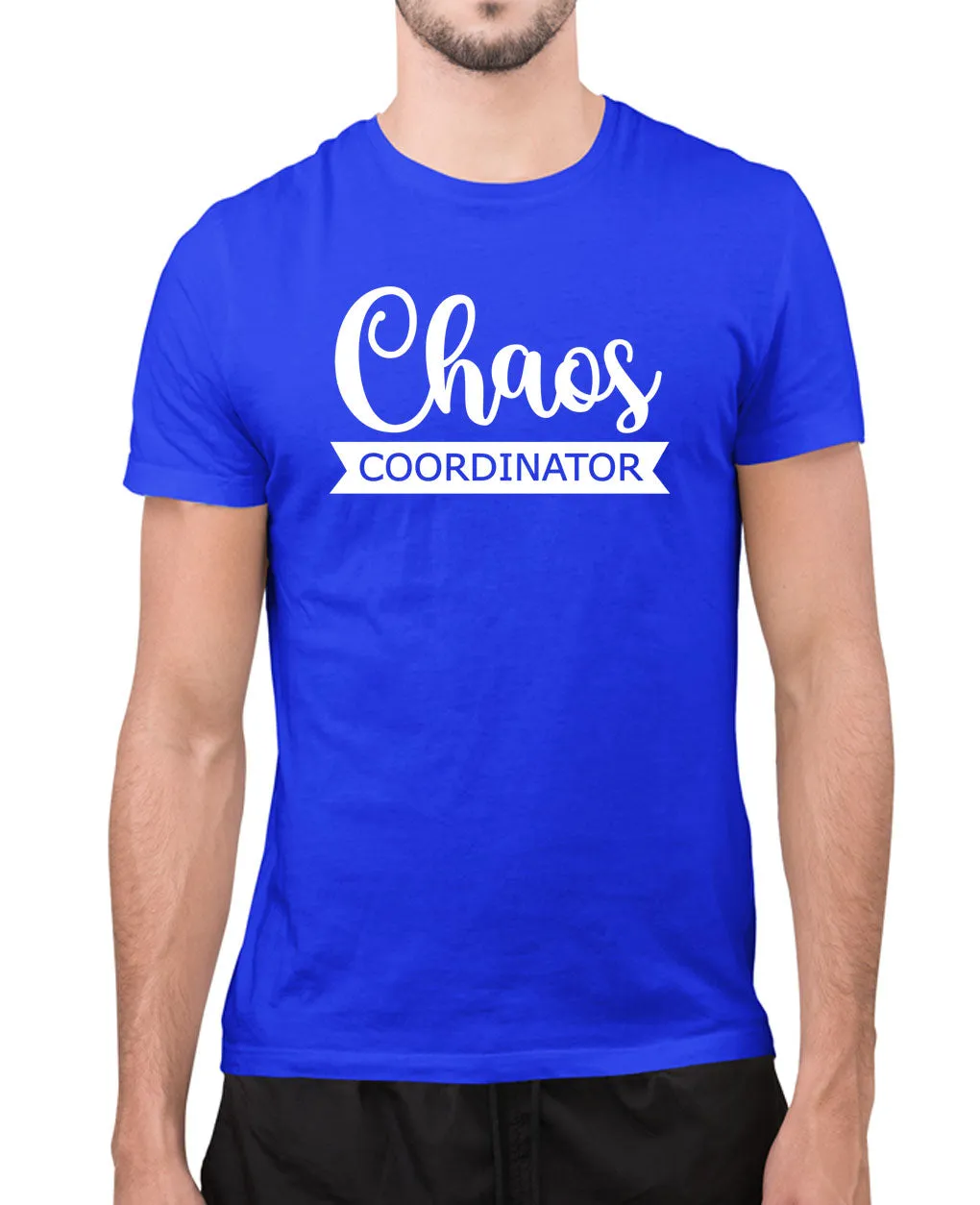 Chaos coordinator t-shirt, humor joke t-shirt