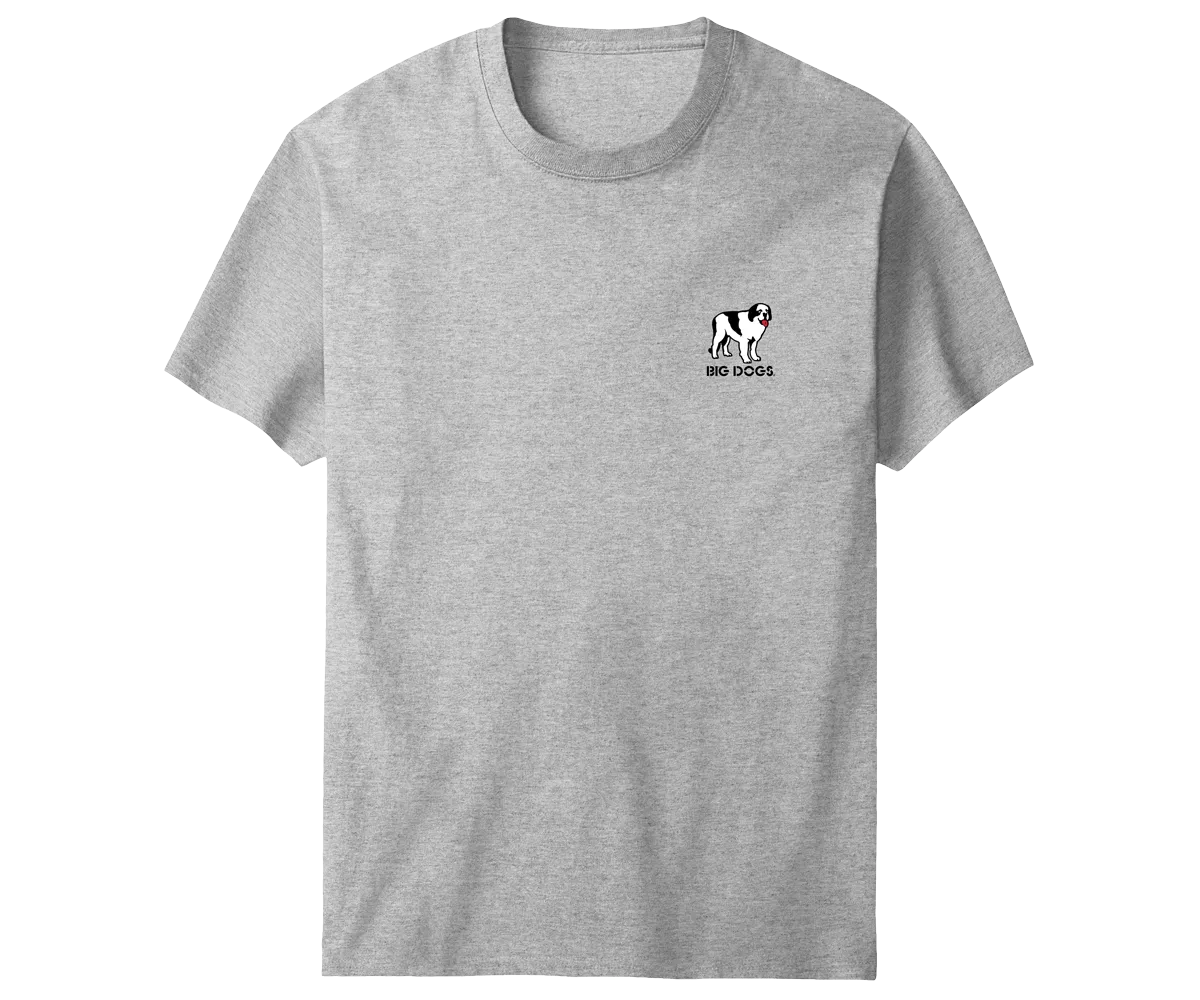 Days Without Sarcasm T-Shirt