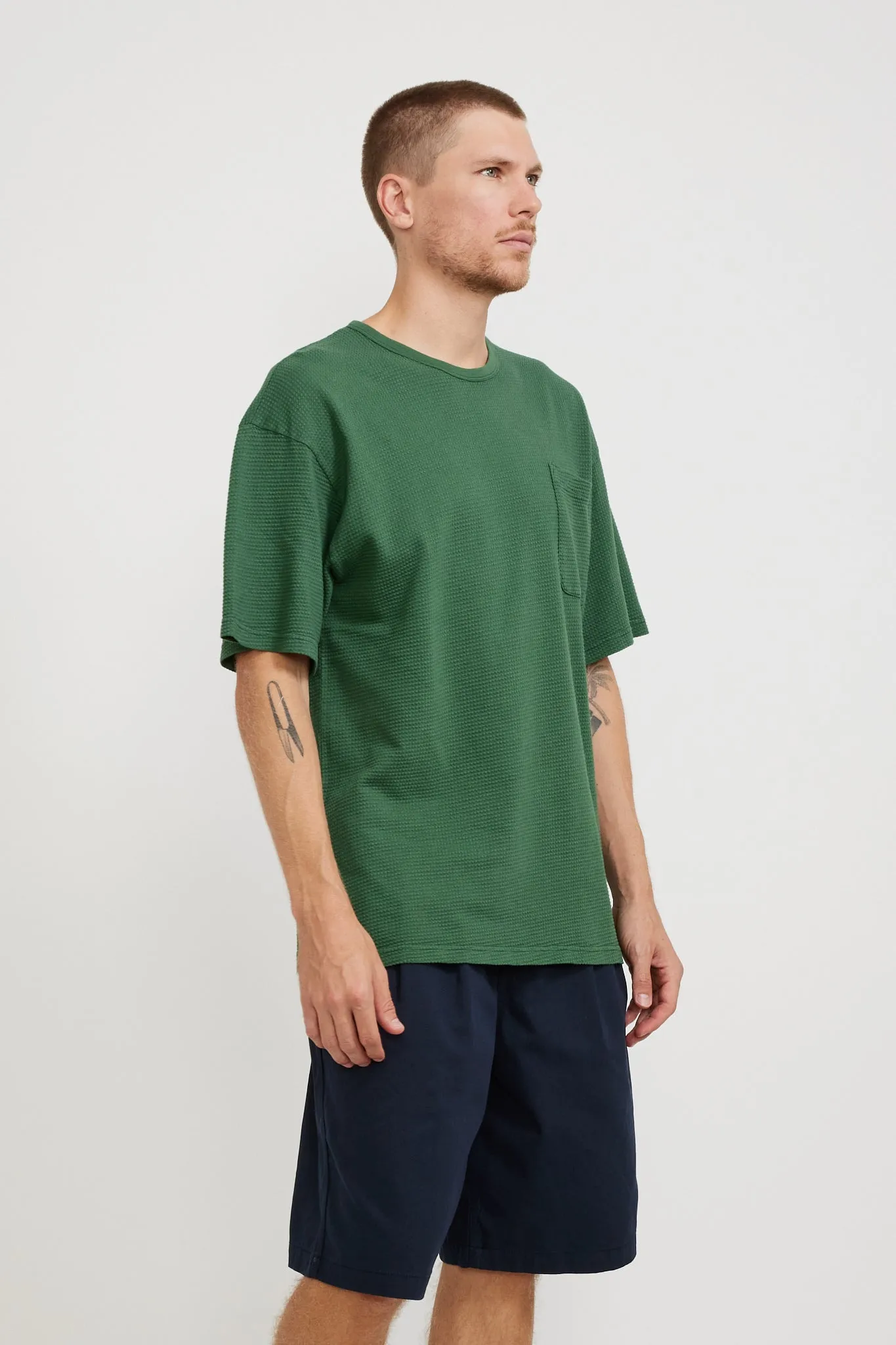Fly Tee Fern