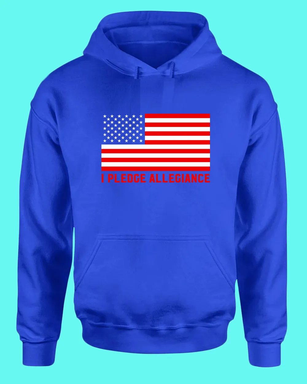 I Pledge Allegiance hoodie American hoodie