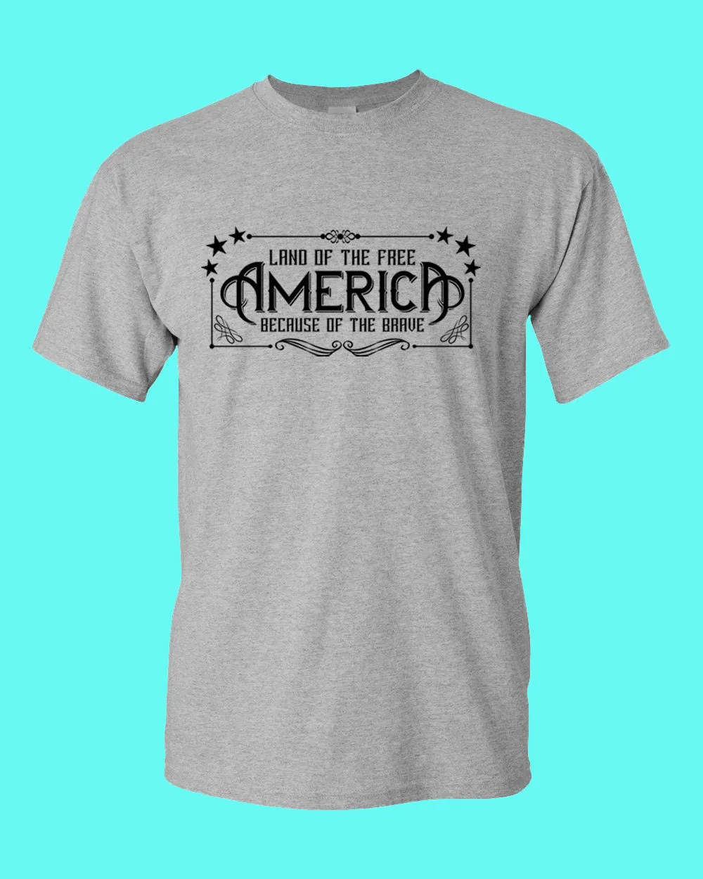 Land of the Free Because of the Brave T-shirt American T-shirt