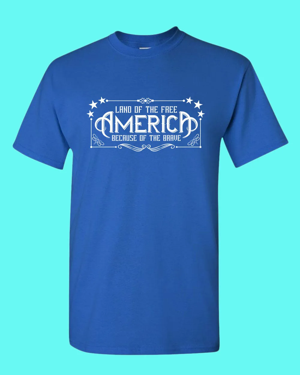 Land of the Free Because of the Brave T-shirt American T-shirt