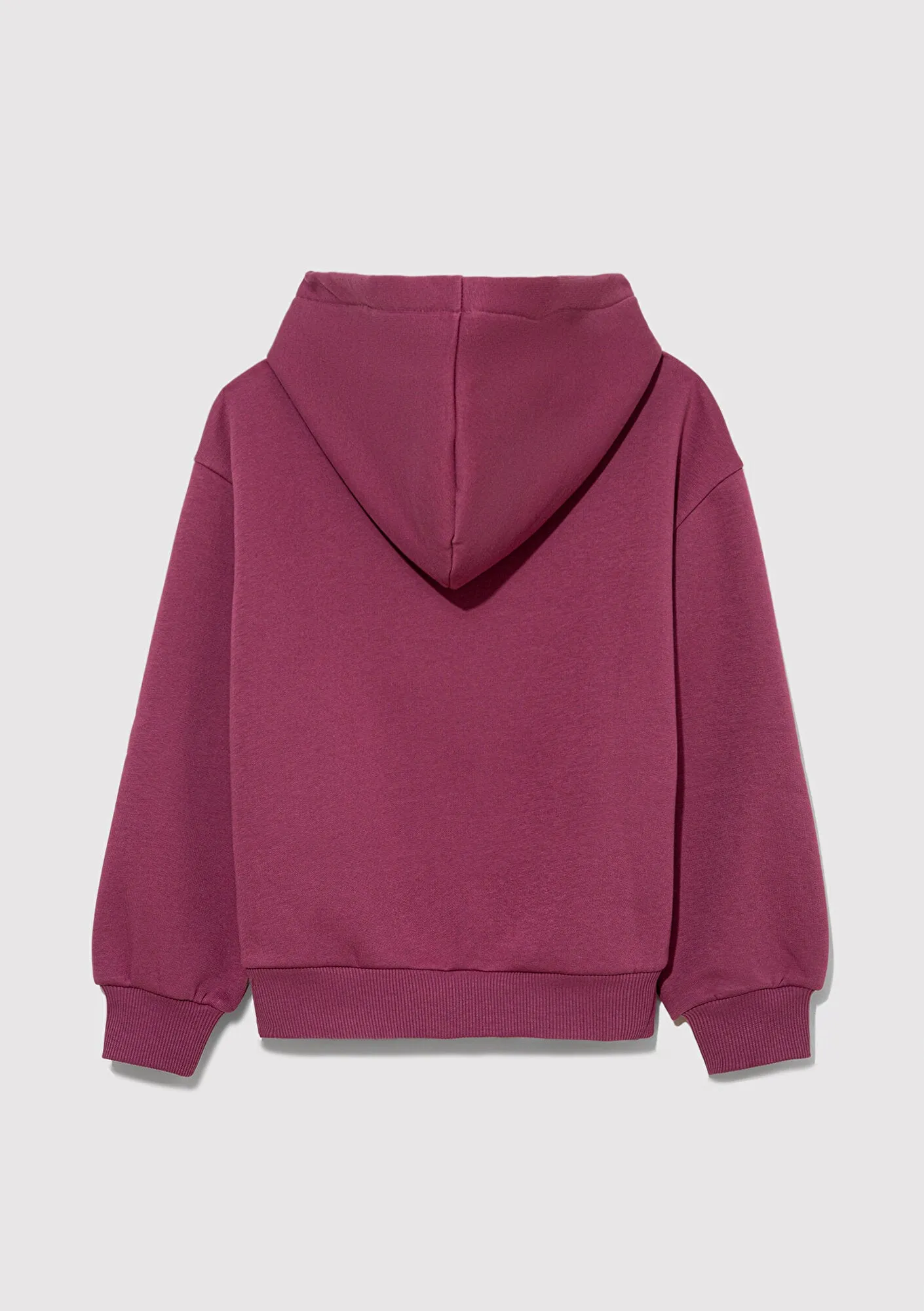 Mavi Logo Printed Hooded Purple Sweatshirt