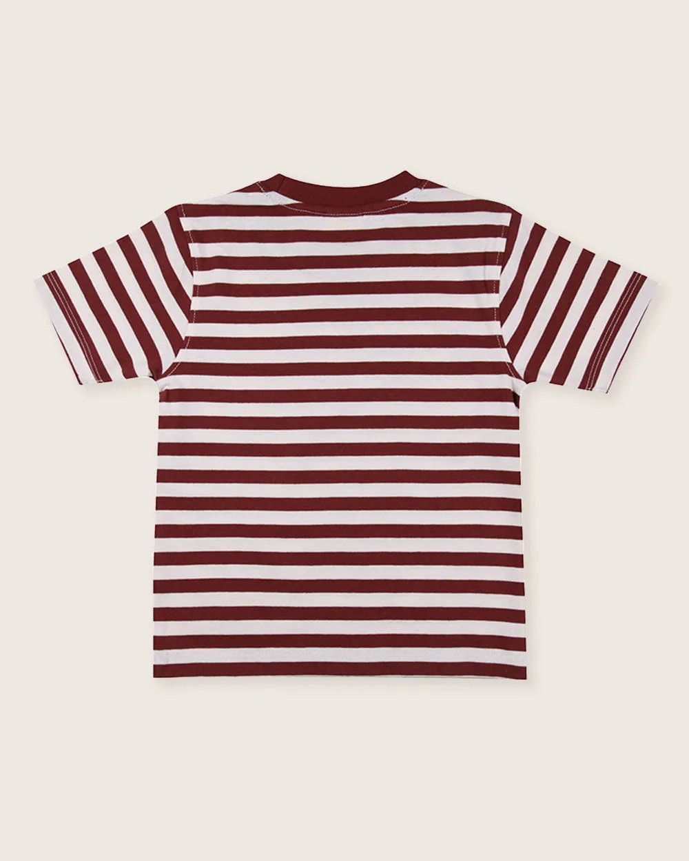 Multicolour Stripe And Plain T-Shirt - 2 Pack