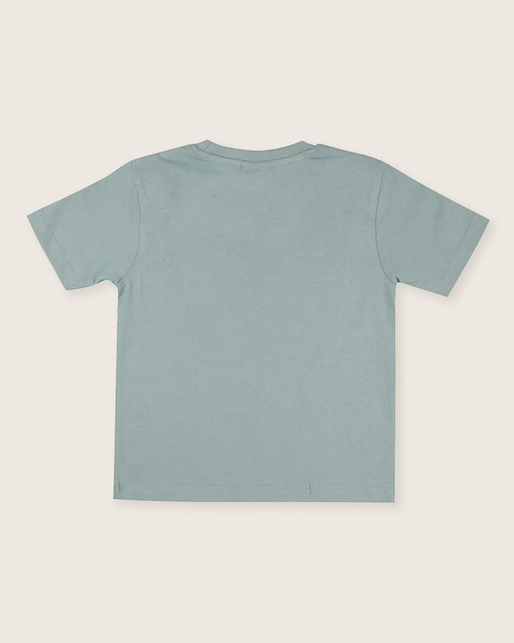 Multicolour Stripe And Plain T-Shirt - 2 Pack