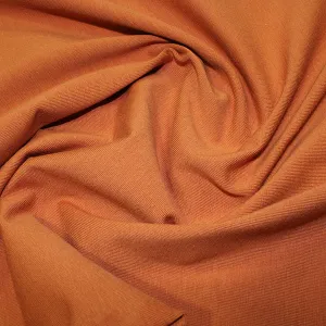 Plain Rust T-Shirt