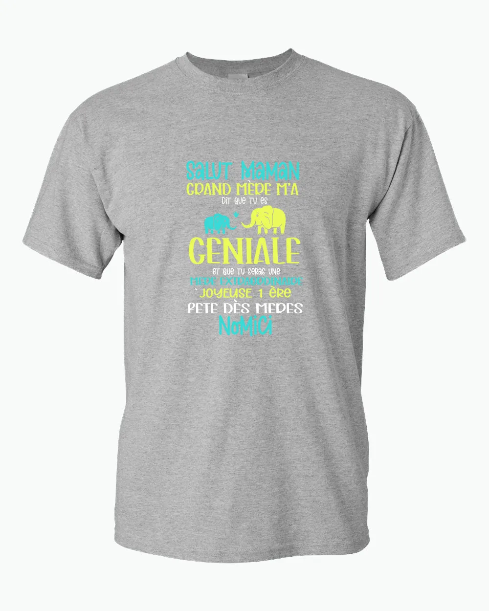 Salut maman grand mere m'a dit que tu es geniale t-shirt, frenc t-shirt, dad tees