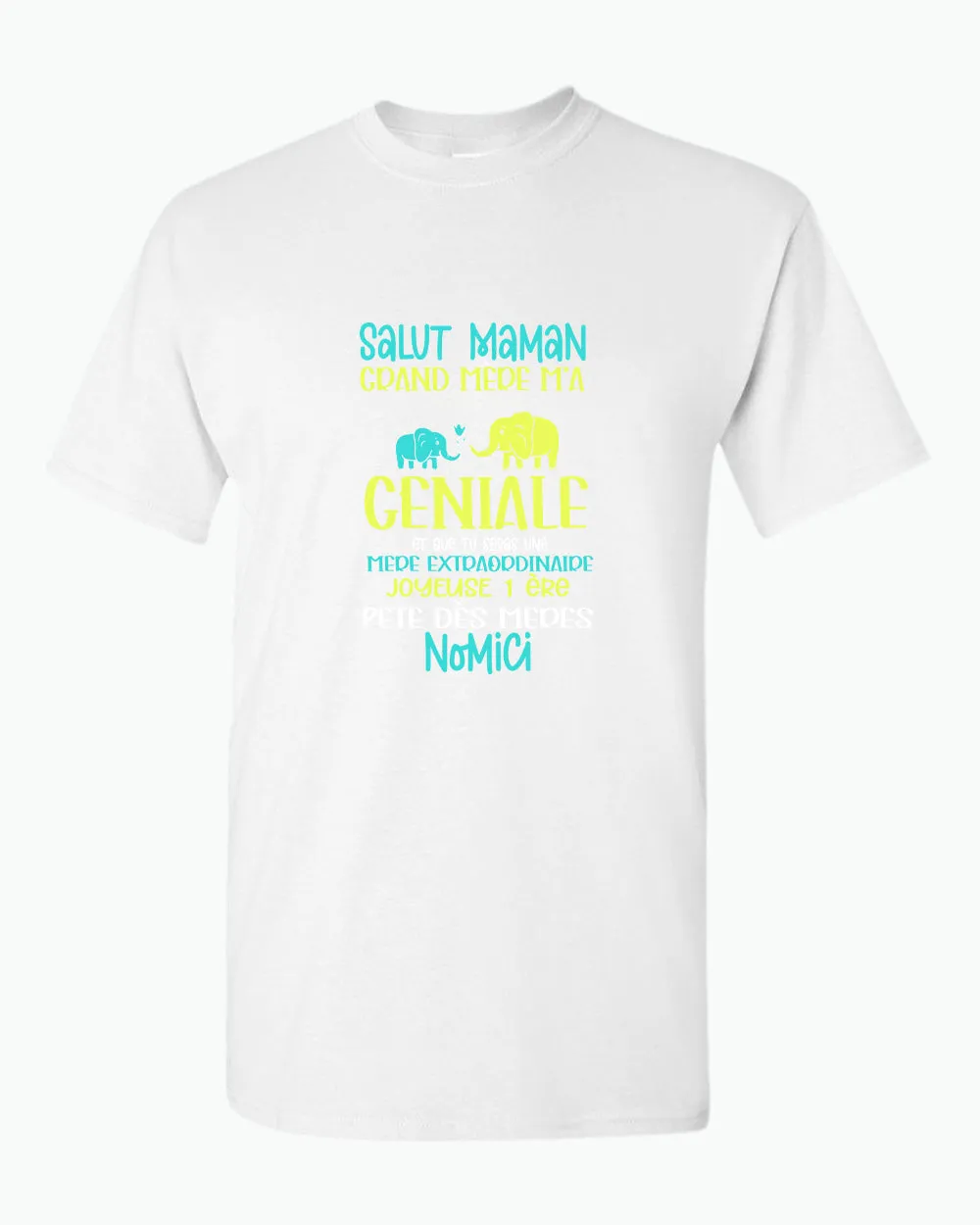 Salut maman grand mere m'a dit que tu es geniale t-shirt, frenc t-shirt, dad tees
