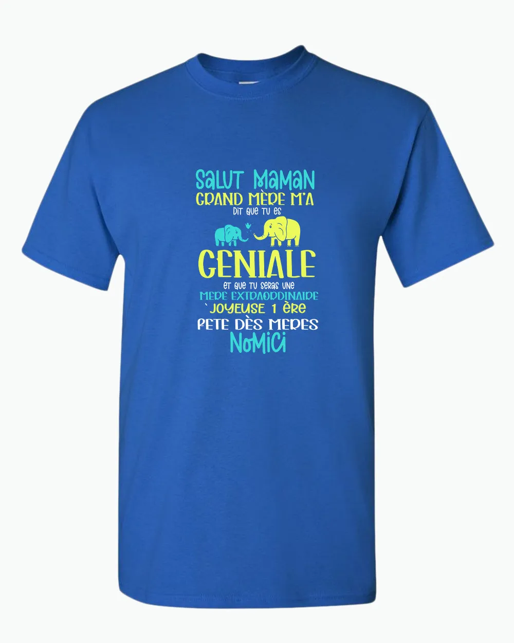 Salut maman grand mere m'a dit que tu es geniale t-shirt, frenc t-shirt, dad tees