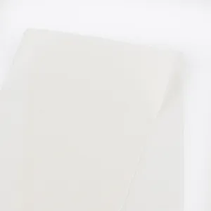 Stretch Silk Georgette - Ivory