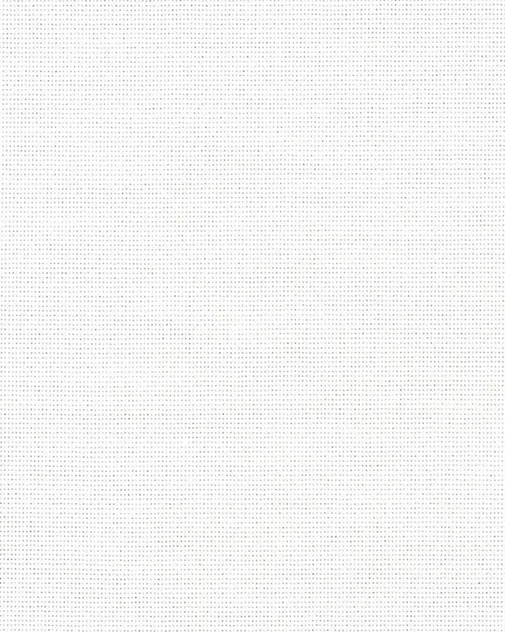 Thomas Mason White Premium Oxford Cloth