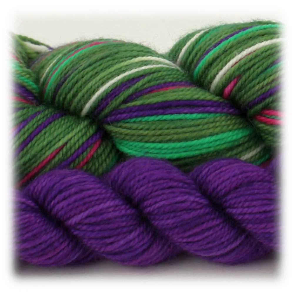 Trochilidae Sock Sets