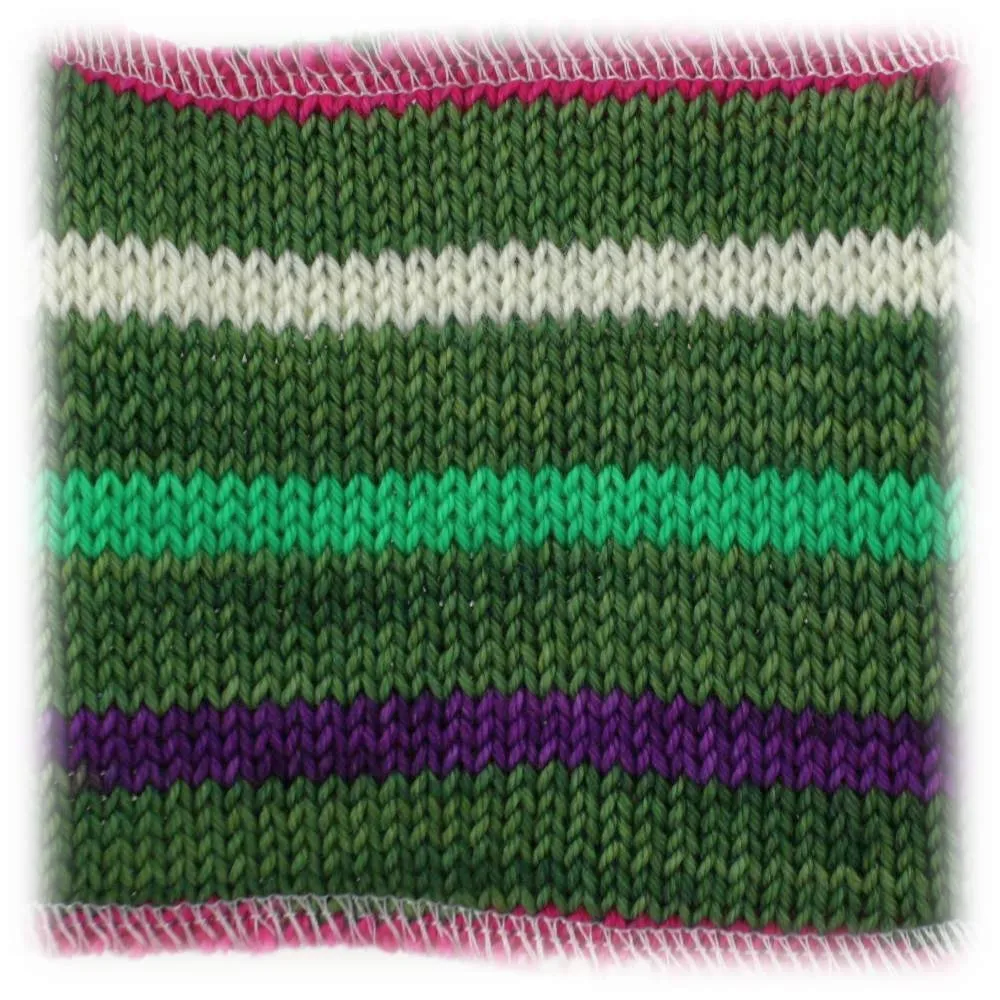 Trochilidae Sock Sets